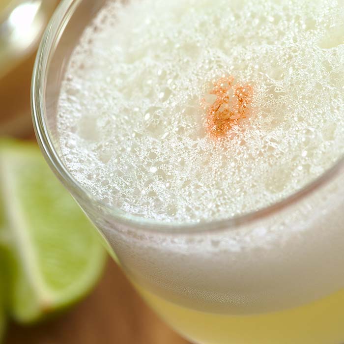 Coctel Pisco Sour