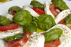 CAPRESE
