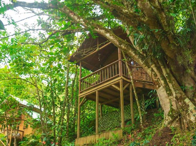 Hotel Manantiales del Campo