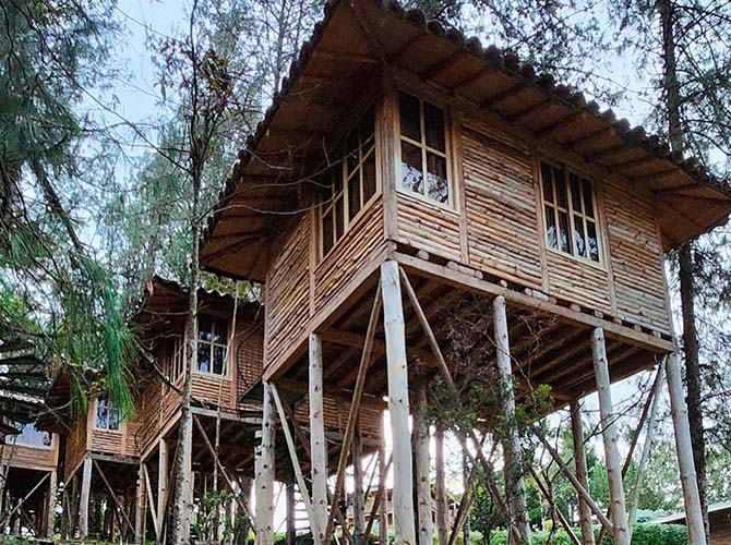 Hotel Ecohotel Nigüito