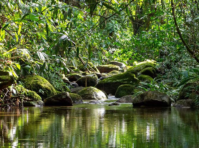 Ritmo del río. Ecolodge
