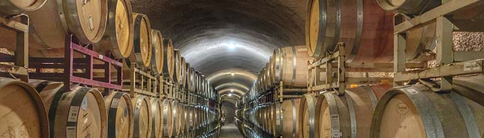 Definición del Vino