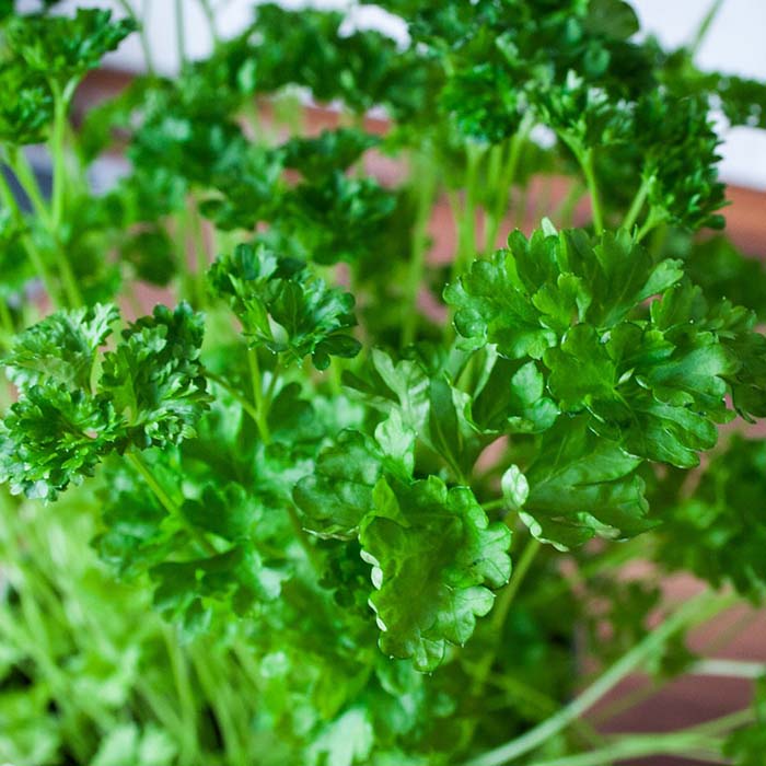 Receta: Ceviche Peruano