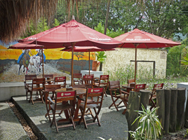 Restaurante Alma Llanera