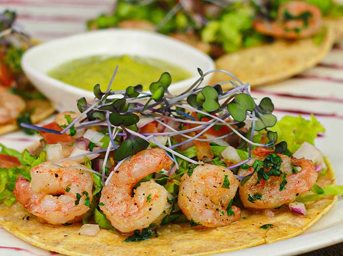 Restaurante ARЯOGANTE