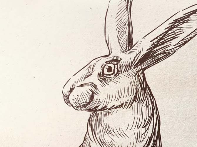 Restaurante La Liebre