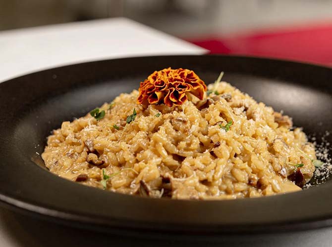 Restaurante Pasta Divina