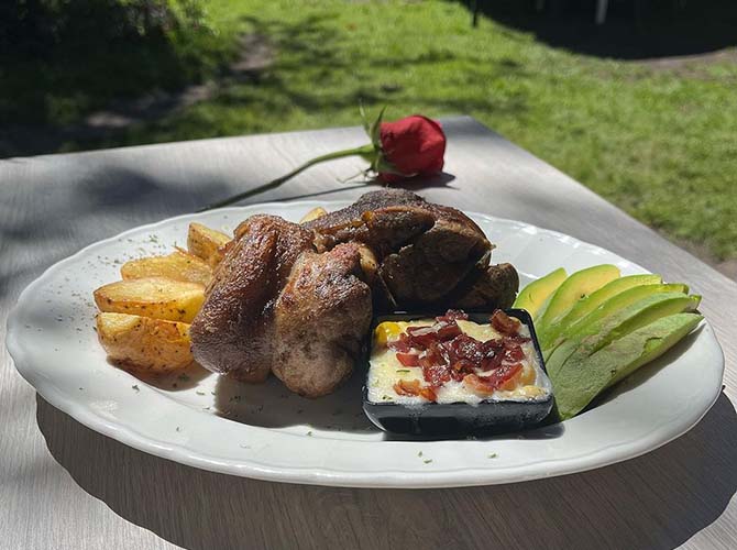 Restaurante Terruno Campestre